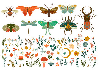 Insects and flora elements in boho style isolated on white background. Vector graphics. © Екатерина Зирина