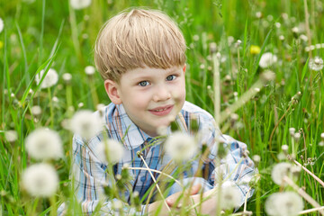 Little blond boy sitting in a meadow of dandelions