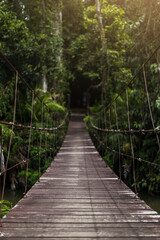 old wooden bridge in deep forest, natural vintage background