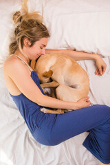 greyhound dog on white bed