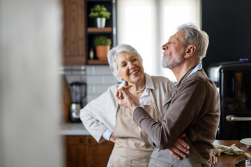 Happy senior couple communicating while having fun in the kitchen together