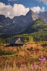 Beautiful summer landscape. Wooden hut in the Polish mountains.