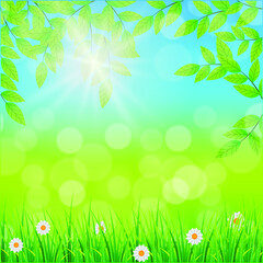 Happy spring day. Vector spring nature background.
