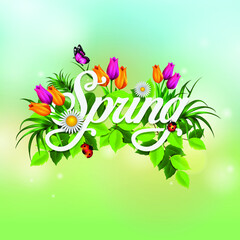 Spring poster with tropical palm leaf and handwriting lettering. Vector illustration 
