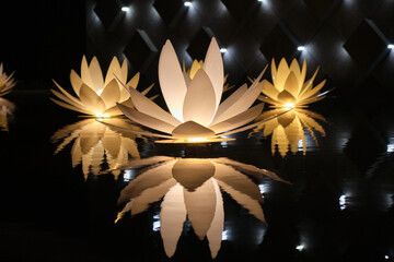 artificial decorative lotuses with illumination at night