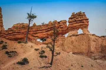 Hoodoos and Arches in Henderson Canyon, Bryce Canyon National Park, Utah © Stephen
