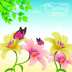 Abstract background from multi-colored flower butterflies with curls 
