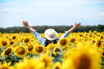 Young beautiful blonde woman standing in sunflower field.
 