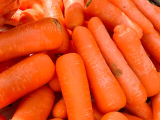 bunch of carrots