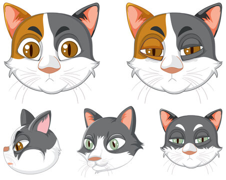 A set of cat's head on white background