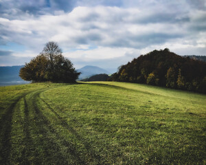 field and blue sky in Slovakia . Nature in Slovakia 

