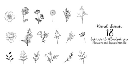 Hand drawn botanical flowers and leaves. Hand sketched vector vintage elements for wedding decorations, birthday,social media, clear stamp and more.