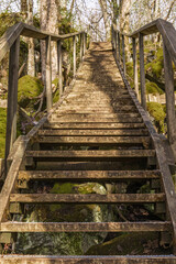 Wooden staircase on a footpath in the forest