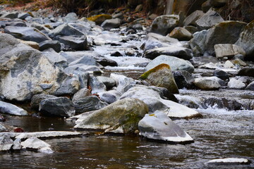 water flowing over rocks