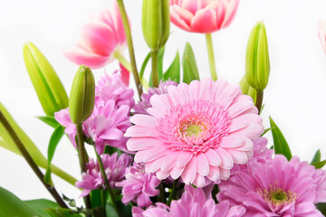 Composition with beautiful blooming Tulips and Barberton Daisy (Gerbera jamesonii) flowers on white background , pink colors