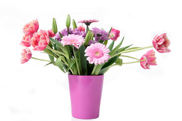 Naklejka na ściany i meble Composition with beautiful blooming Tulips and Barberton Daisy (Gerbera jamesonii) flowers on white background , pink colors