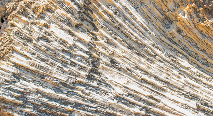 background on a coral reef, Coral texture