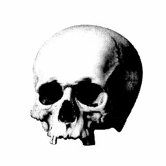 Human Skull. Vintage vector illustration. Halftone style.