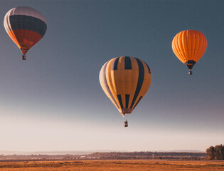 hot air balloons - freedom and adventure concept