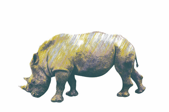 Rhinoceros. Doodle sketch. Vector illustration. Isolated on white background.