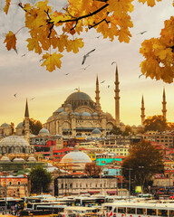 Fototapeta premium Blue Mosque in Istanbul, Turkey.