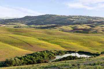 Fototapeta na wymiar Very complex and intricate terrain of the Tuscan hills but so neatly cultivated and small pond in the foreground. Val d'Orcia, Italy