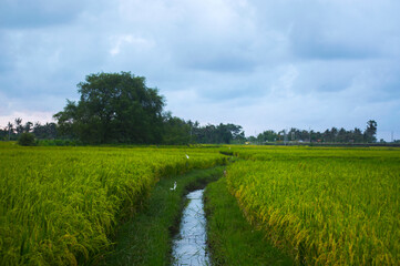 landscape with river and blue sky
