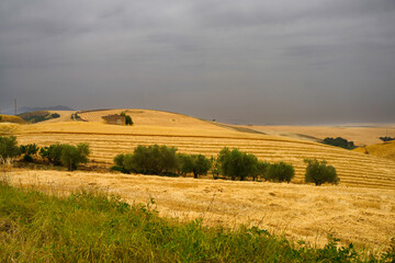 Obraz premium Country landscape in Basilicata, Italy, at summer