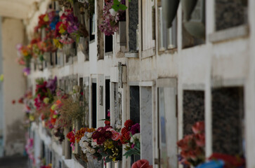 Fototapeta na wymiar cemetery, floral presents in the wall niches