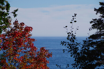 Panoramic scenic landscape view of coast and Indian summer stage fall season in Acadia National...