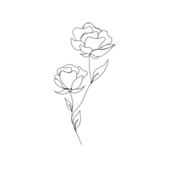 Rose flower continuous line drawing. One line art. minimalism sketch, idea for invitation, design of instagram stories and highlights icons