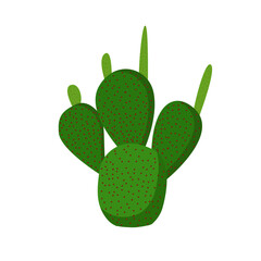 Houseplant cactus for interior decoration. Vector illustration of plants and flowers.