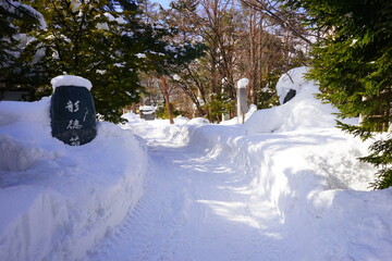 日本 北海道 札幌 中島公園 雪道