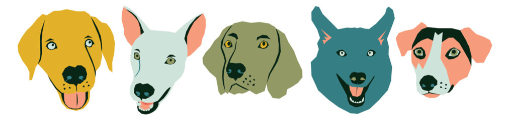 Vector funny muzzles of dogs in different colors