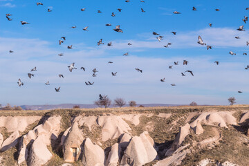 flying doves in capadoccia
