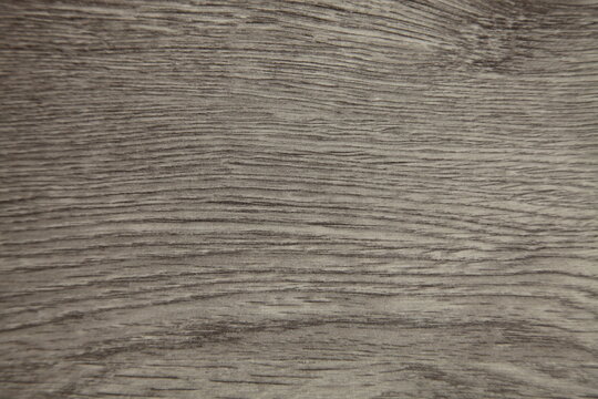 Textured wood background, grey wood texture surface
