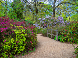 Beautiful garden in the springtime in Richmond Park, Isabella Plantation, in London