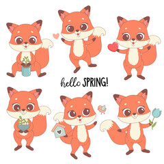 Cute fox set with spring flowers, hearts, plants