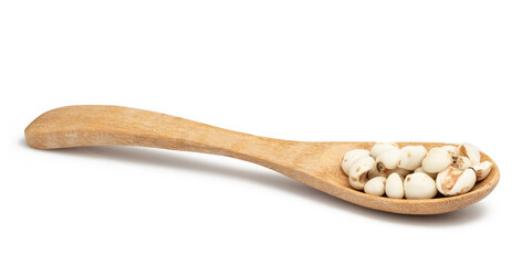 job tears isolated on white background