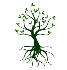 Obraz premium Vector Tree and Roots.