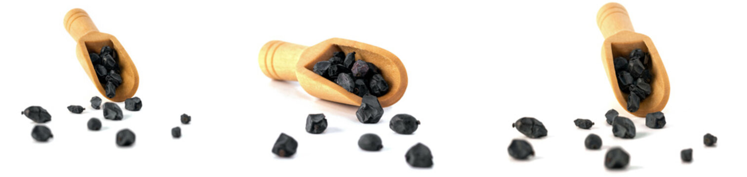 Black dry barberry spice.
