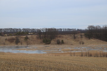 Fototapeta na wymiar The frozen marshland in winter