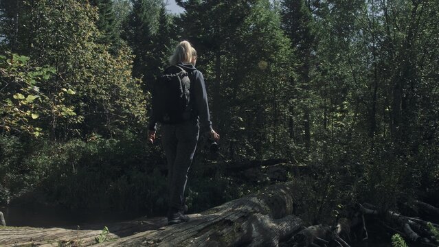 Traveler photographing scenic view in forest river. Wood bridge fallen tree. One caucasian woman shooting nice magic look. Girl take photo video on camera. Photographer travel with backpack. Outdoor.