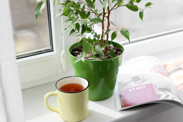 Green houseplant, cup of tea and magazine on window sill