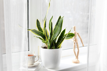 Green houseplant, cup of tea, book and wooden human figurine on window sill