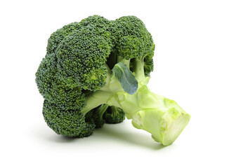 broccoli isolated on white background
