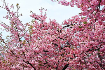 Spring is just around the corner