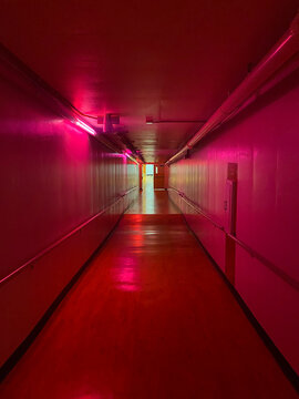 dark pink and red hallway leading to open doors with light