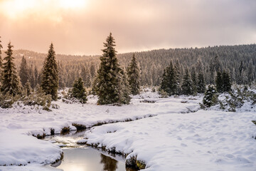 Winter landscape of Jizera Mountains