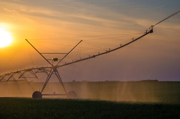 Modern irrigation system watering agricultural fields in summer.